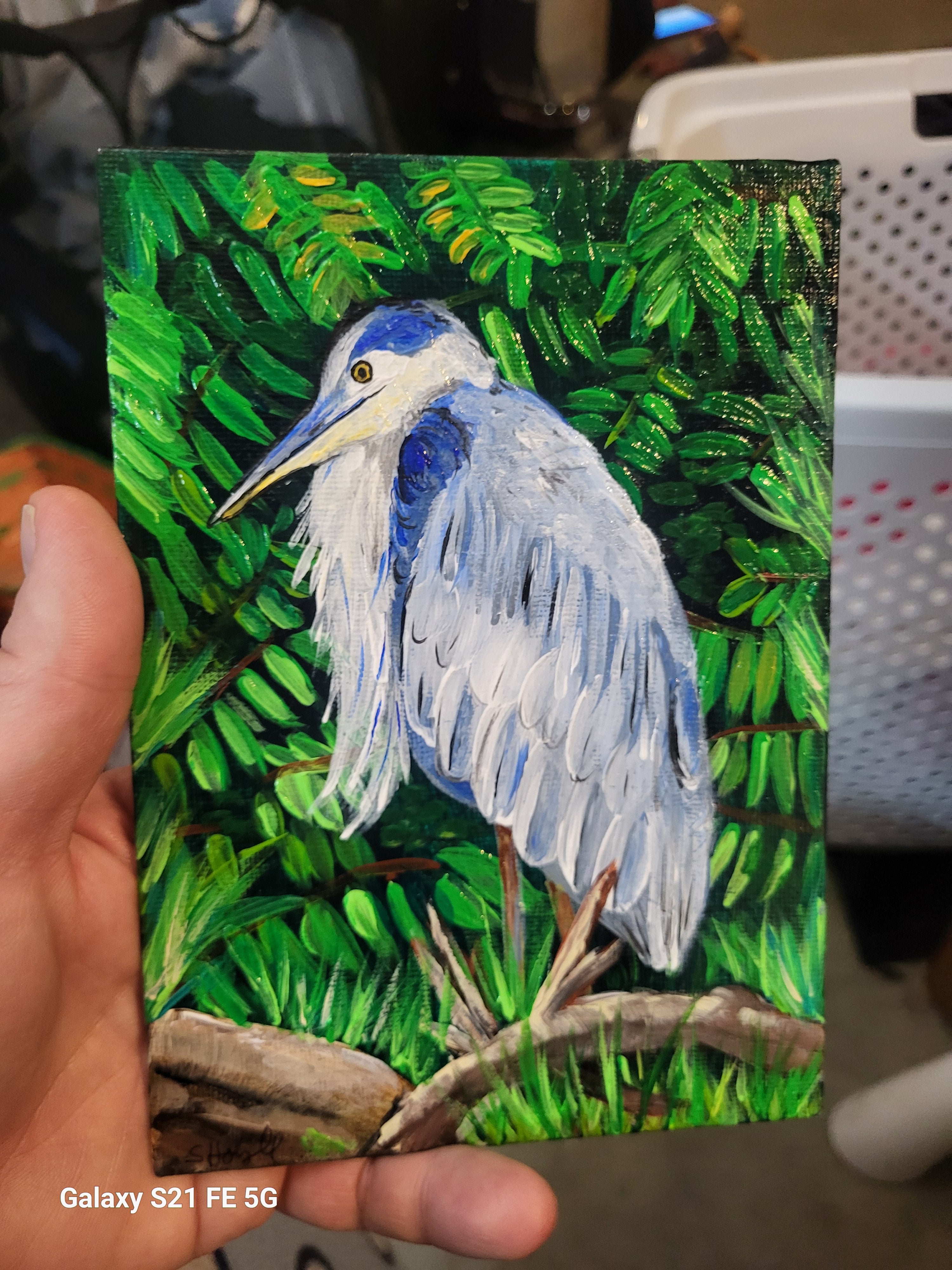 Great blue heron